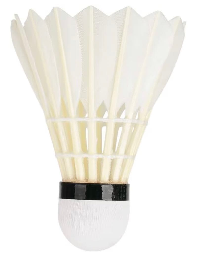 や*ま様 RSL No. 5 バドミントンシャトル 2本入り24個