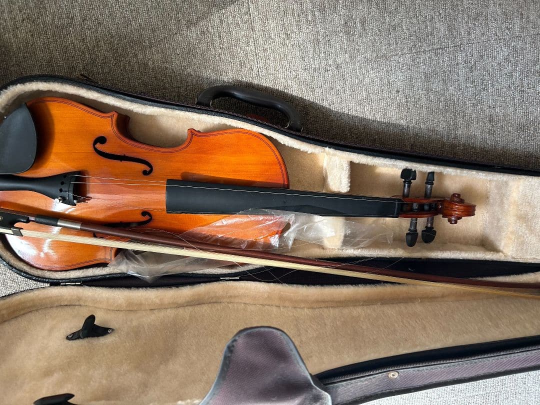 バイオリン本体と専用ケース