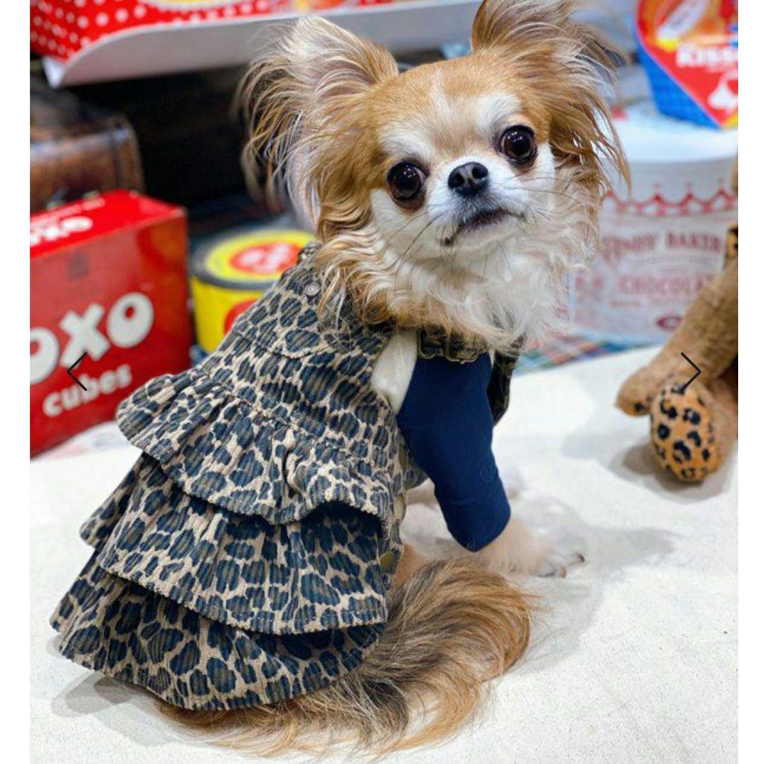 アズノウアズデワン　レオパード柄サロペスカート