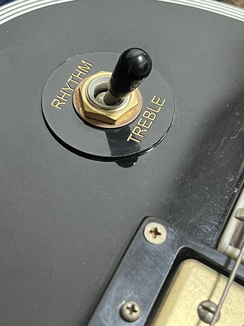 フォトジェニック レスポールカスタム