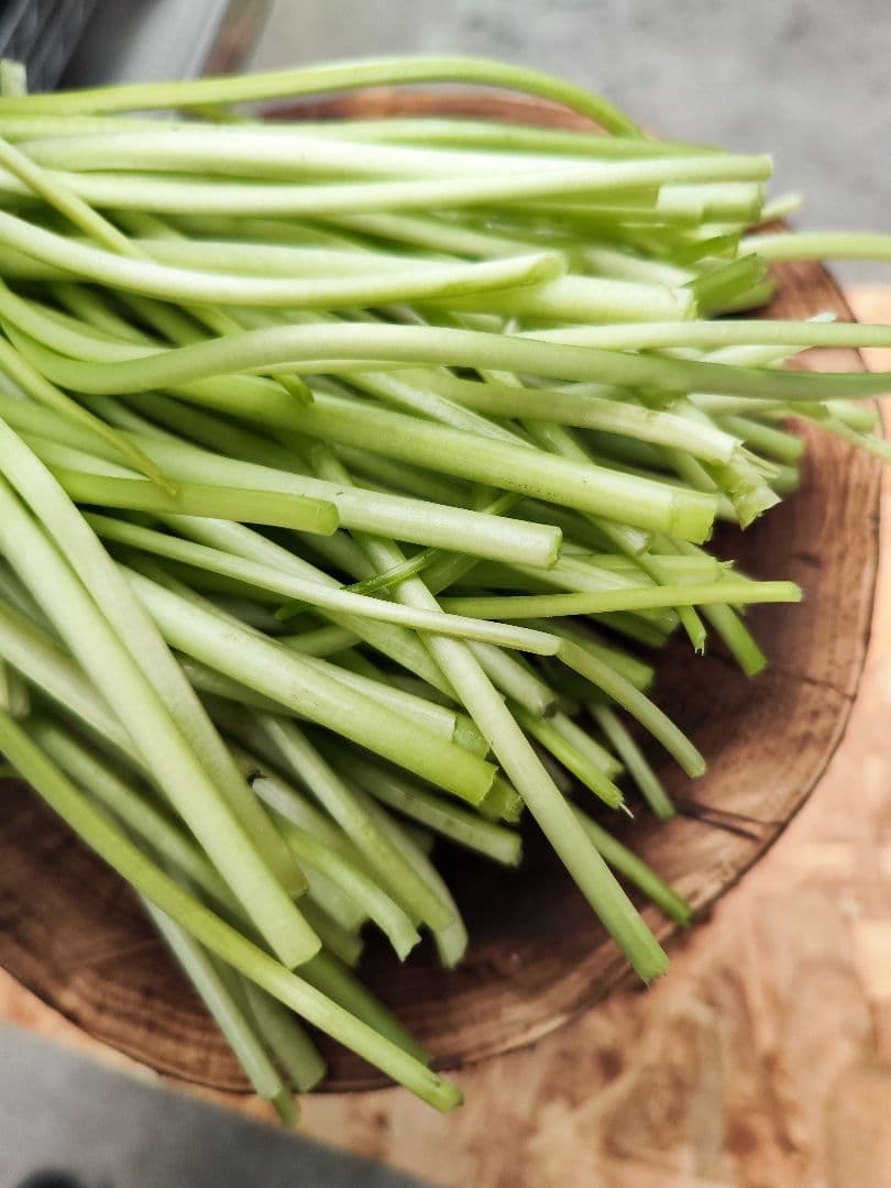 【別注品】7kg 安曇野産 わさびの太茎 わさび漬け わさび 生わさび