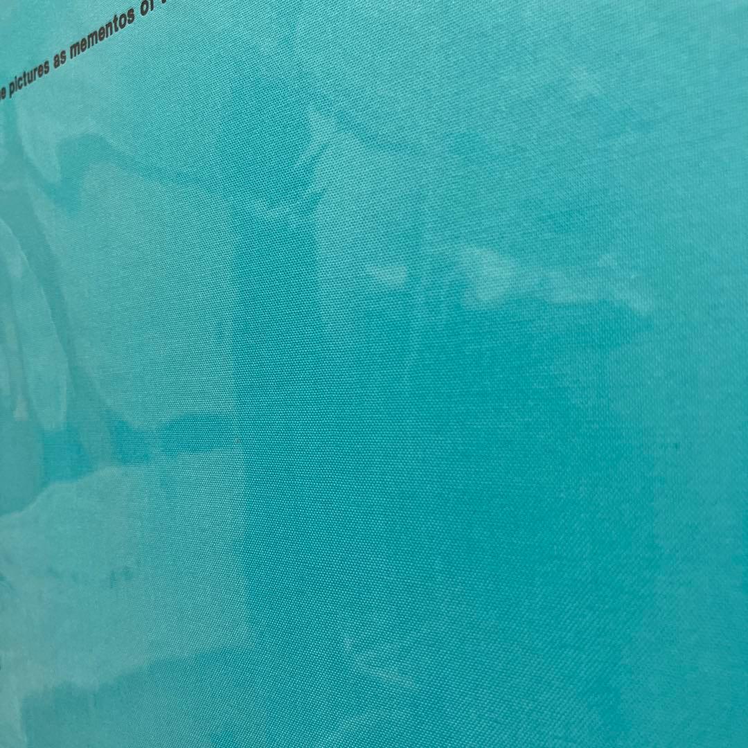 taro⭐︎廃盤品⭐︎DELFONICS Lサイズアルバム 3冊セット