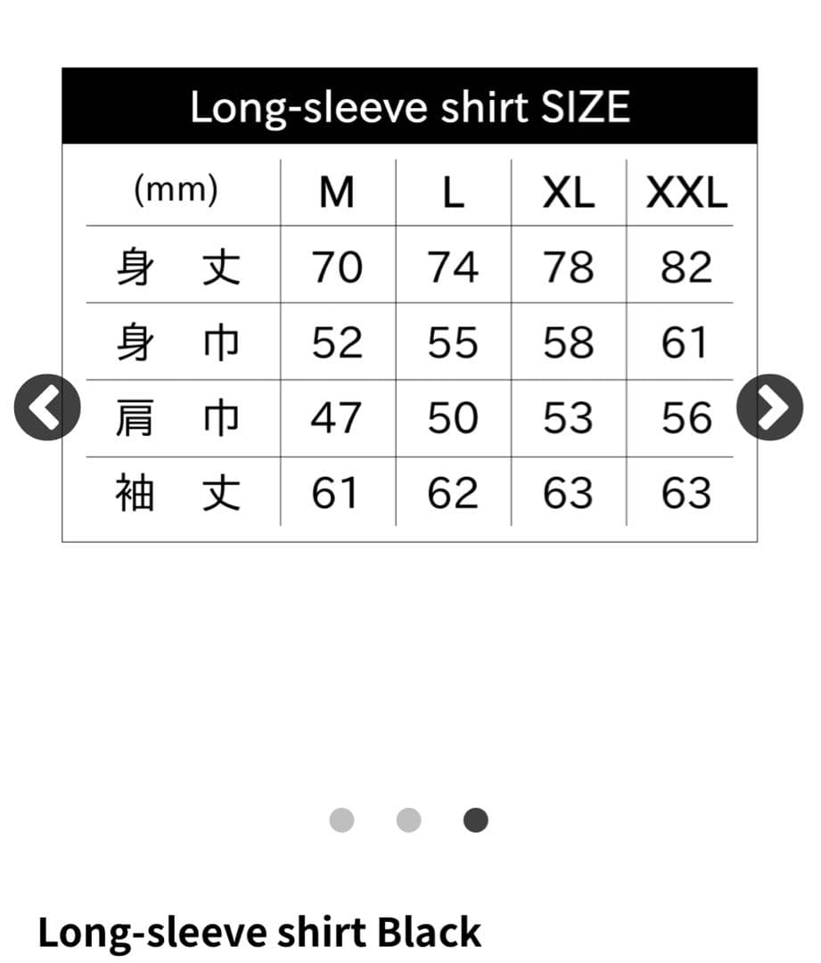 PUNKSPRING 2025 ロンT XXL