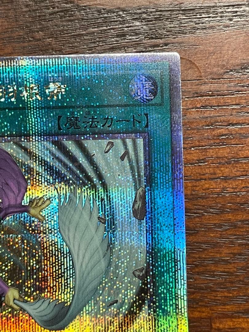 遊戯王 ハーピィの羽根帚 25th 絵違い ハーピィの羽根箒