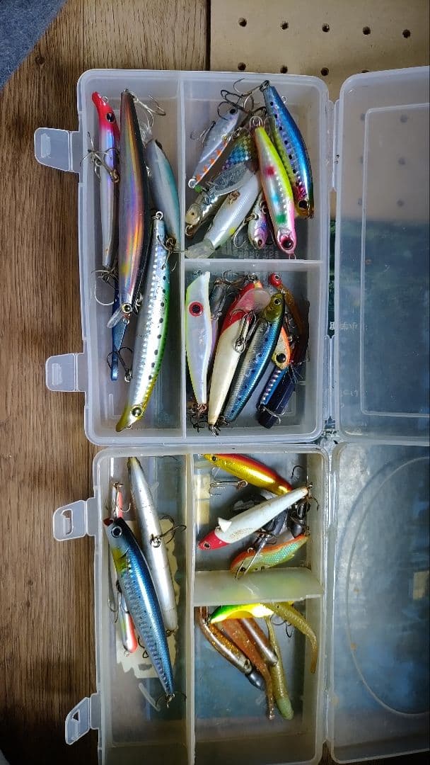 シーバス釣りセット