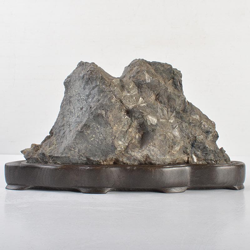 天然石　鑑賞石　菊花石　置物　重さ約1.7kg　唐木台付　V　R6819