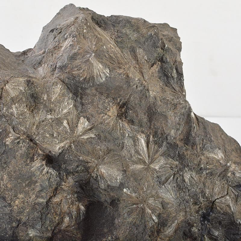 天然石　鑑賞石　菊花石　置物　重さ約1.7kg　唐木台付　V　R6819