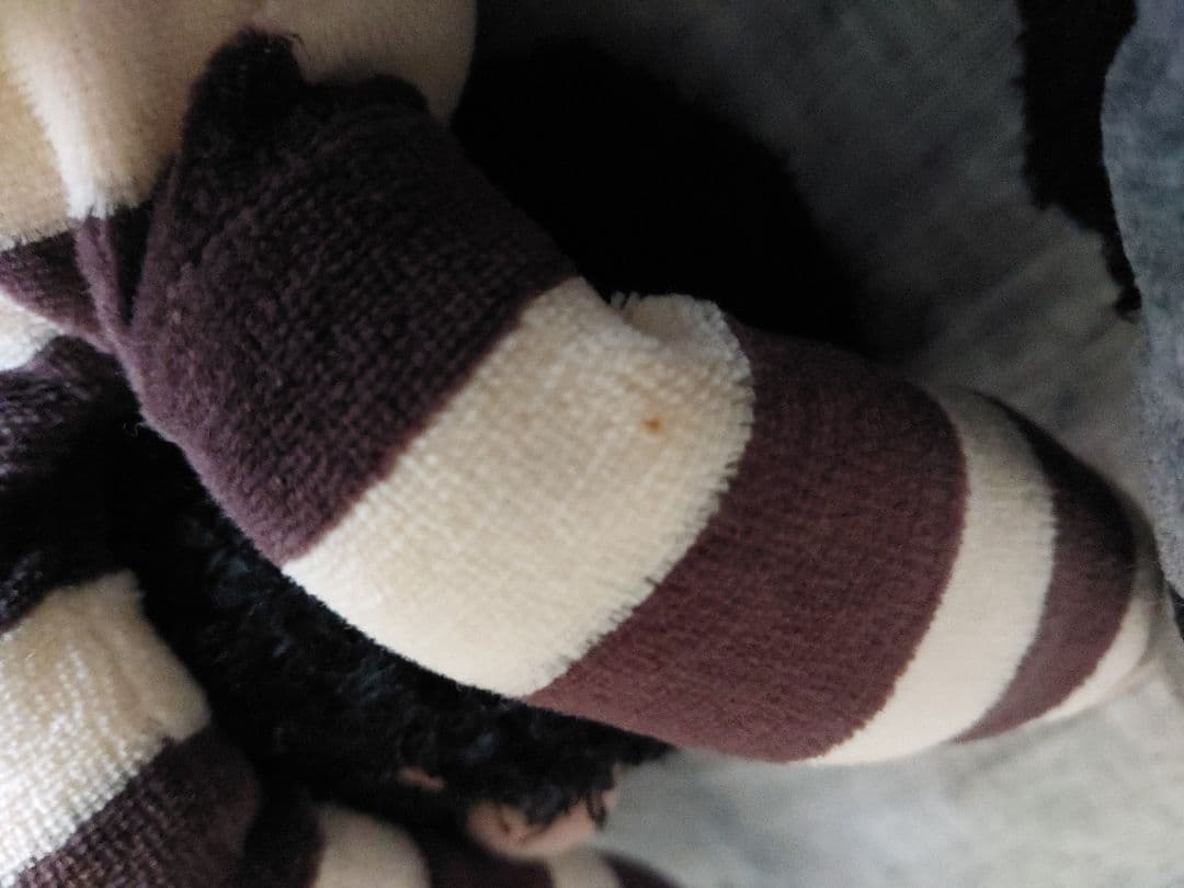 マタノアツコ 猫のぬいぐるみ７体セット