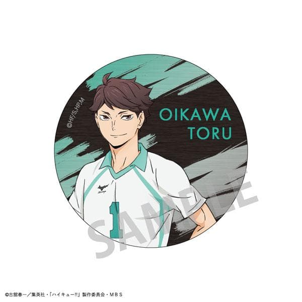 ハイキュー!! トレーディングメタル缶バッジ　14種セット