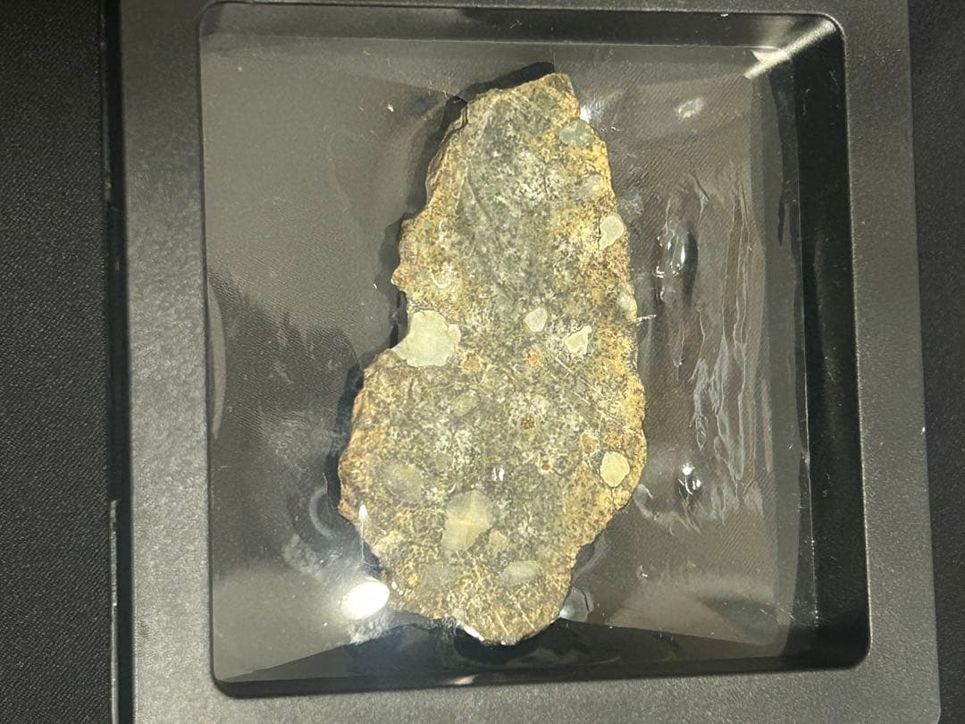 月の隕石 NWA モロッコ - トロクトライト溶融角礫岩9.69g