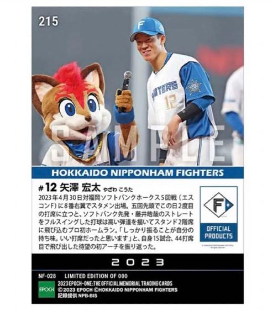 「5枚セット」RC【矢澤宏太】