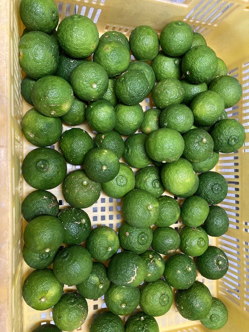 完全無農薬　青ゆず　青柚子　箱込み10kgちょっと入ります♪