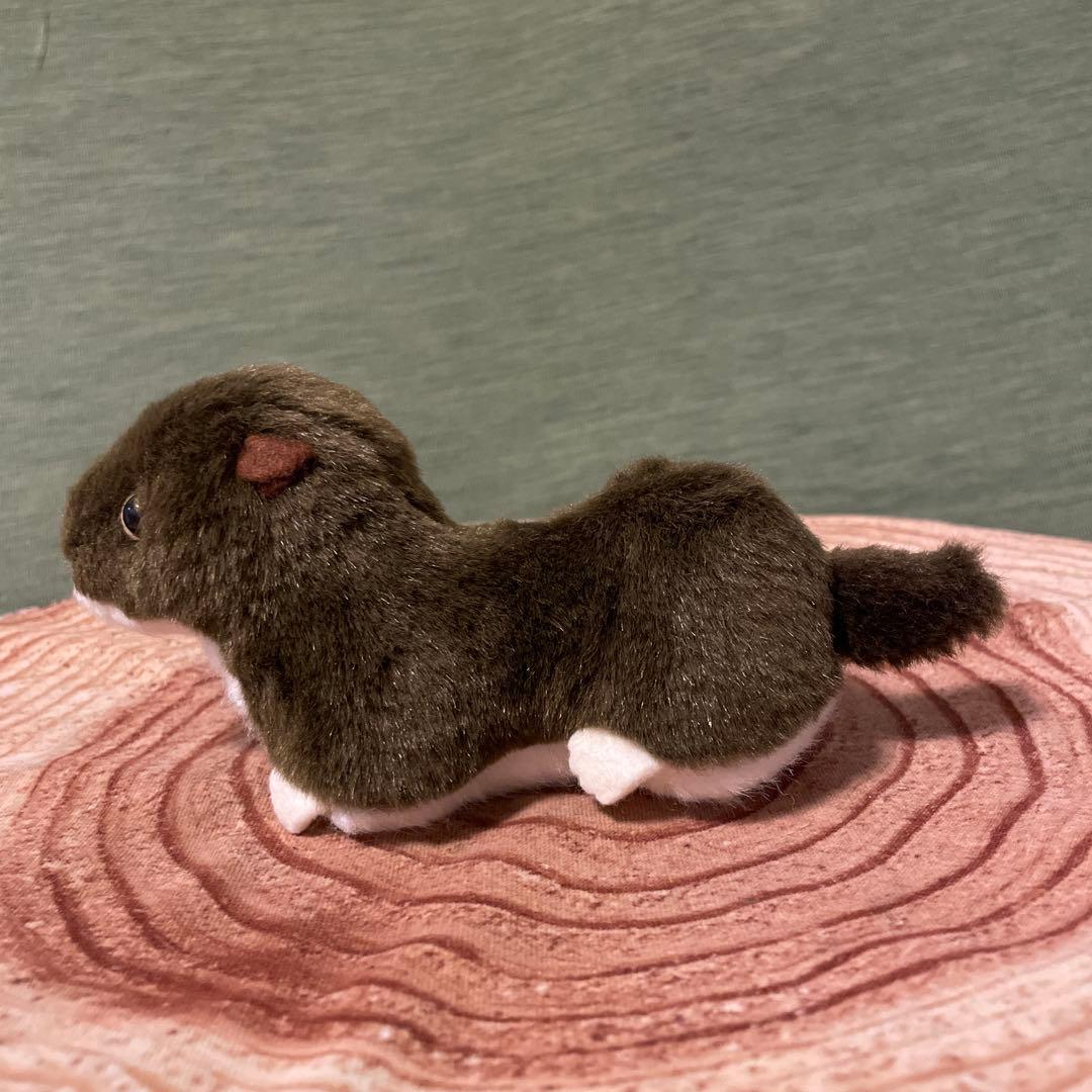 やまね工房　イイズナ(夏毛・冬毛)