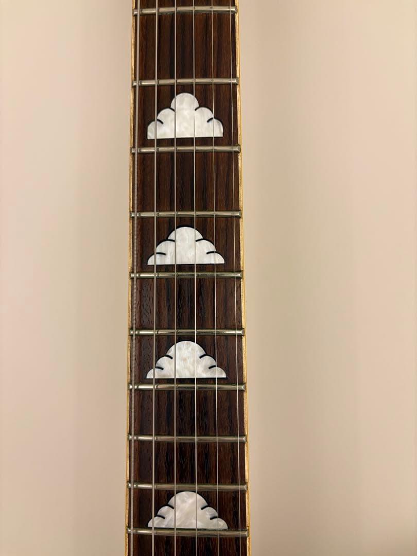 MG-120X HIDEモデルFERNANDES フェルナンデス XJAPAN