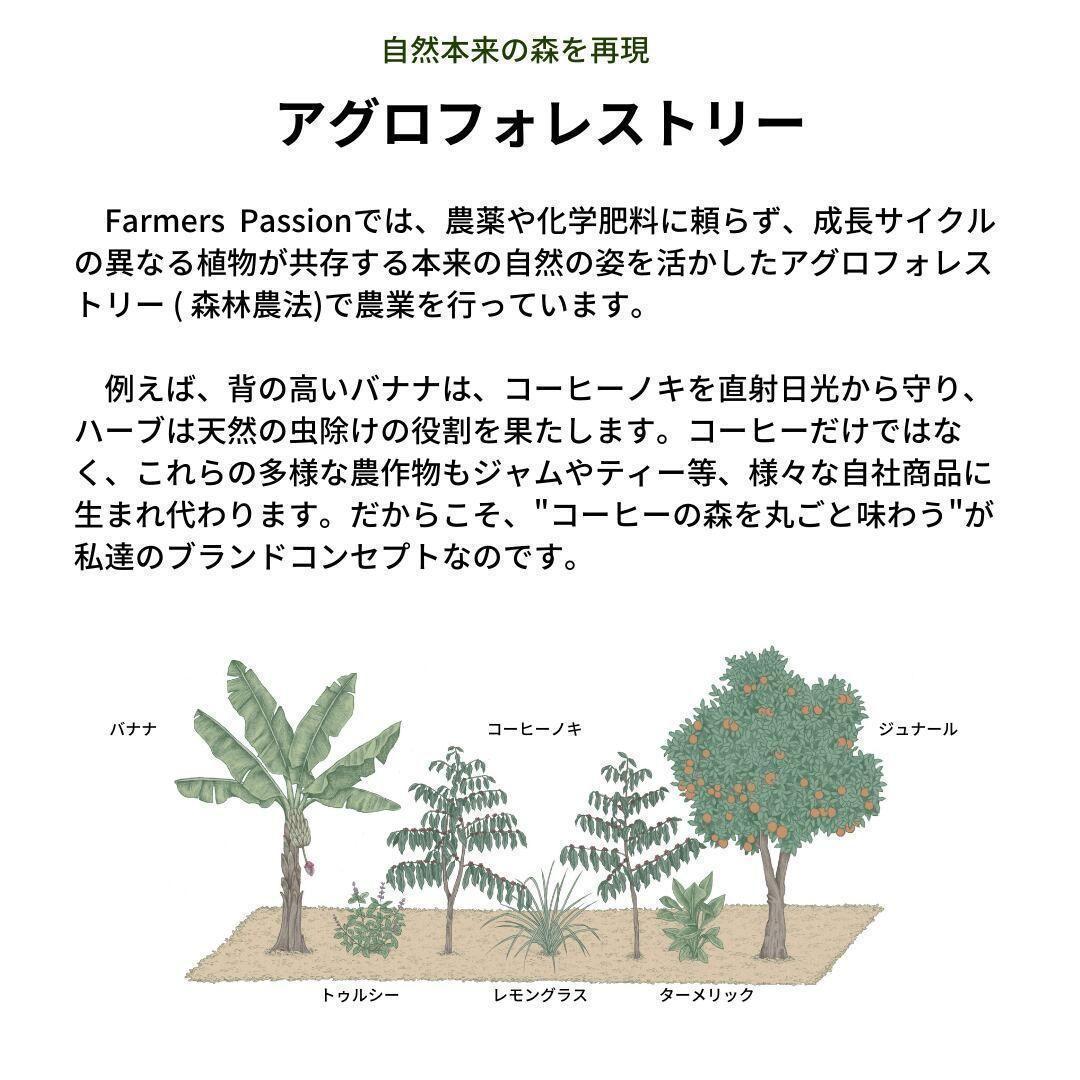 ★オーガニックコーヒー ライト フェアトレード 1kg 粉 コーヒー豆 ネパール