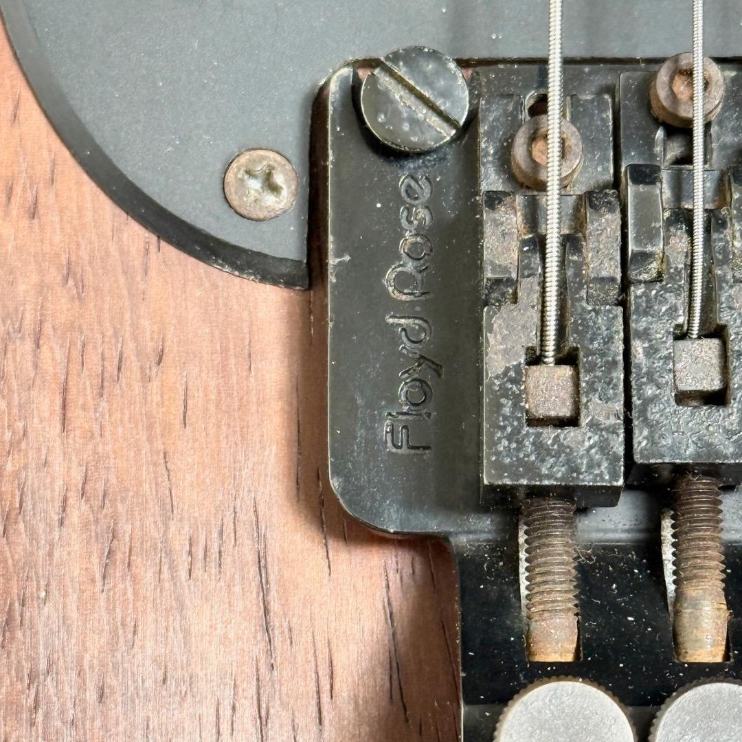 超希少 P-PROJECT PAW-2 和田アキラ 2号機 モデル エレキギター