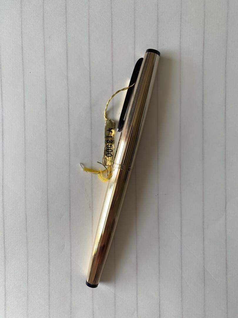 希少 プラチナ 950 シルバー GP 万年筆