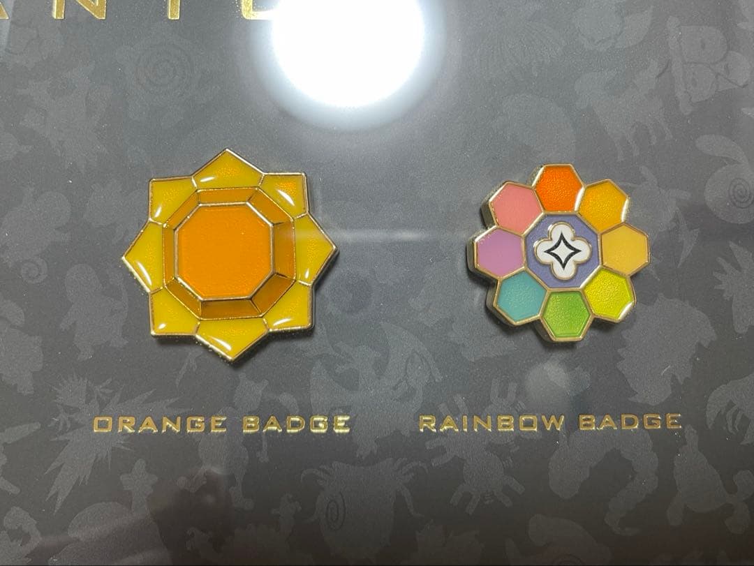 【受注生産】ジムバッジコレクション コンプリートセット 赤緑