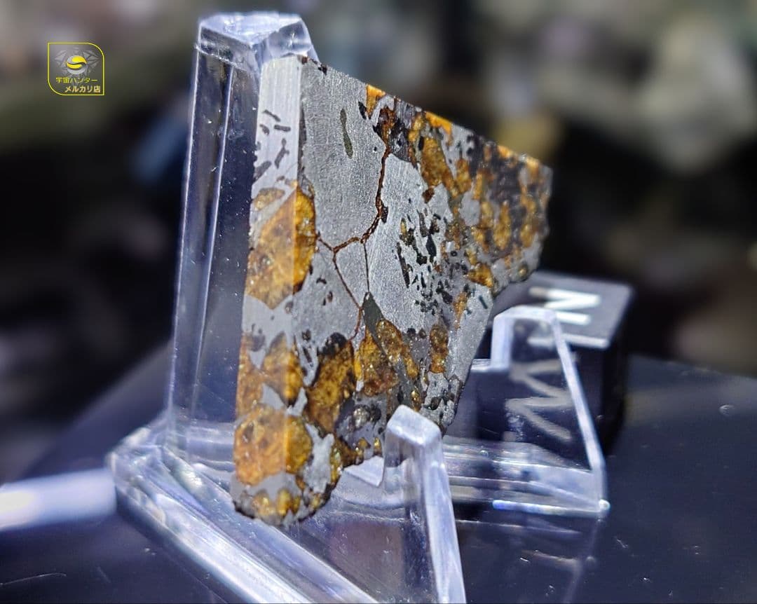 隕石 Hassi El Biod 002 パラサイト 12.23g⭐