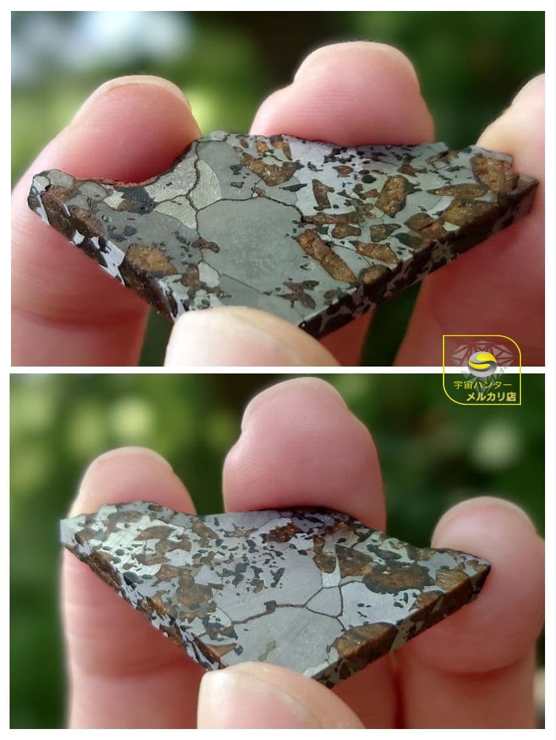 隕石 Hassi El Biod 002 パラサイト 12.23g⭐