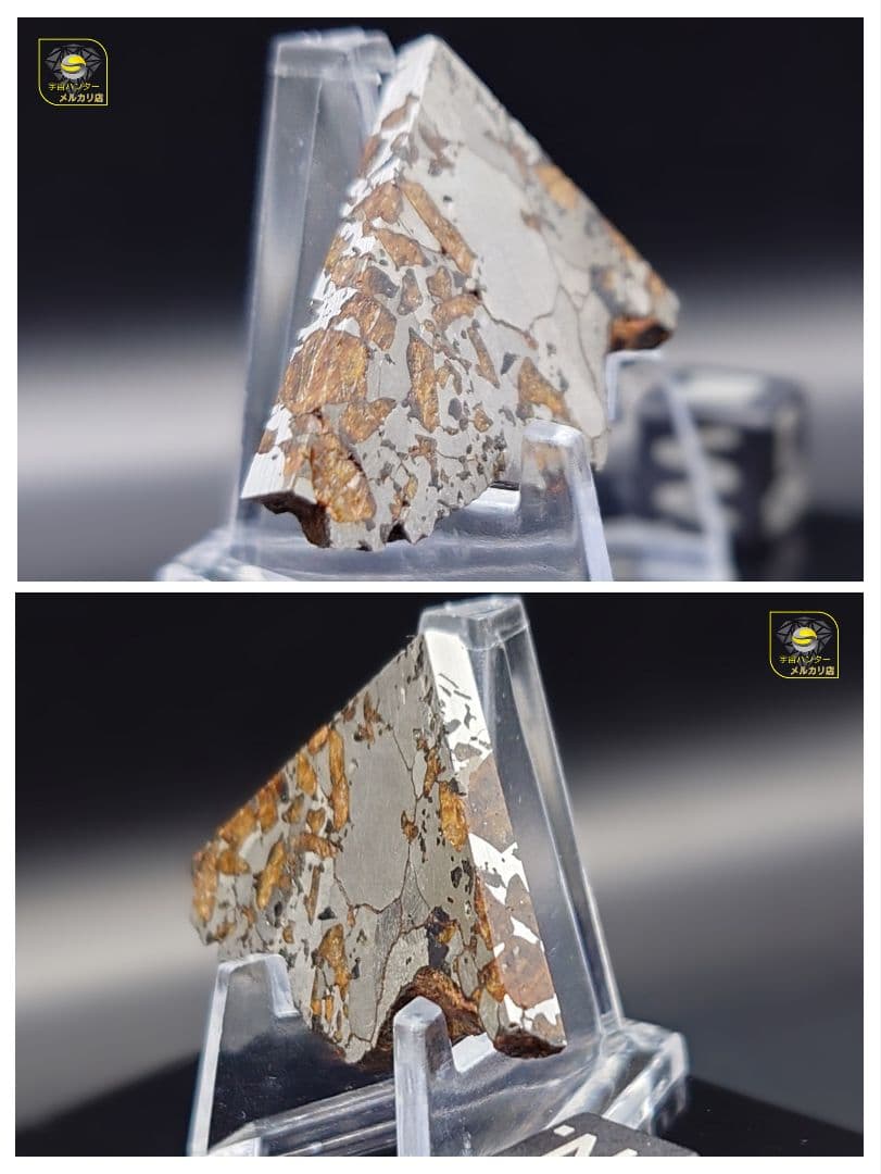 隕石 Hassi El Biod 002 パラサイト 12.23g⭐