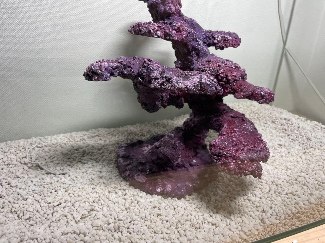 人工ライブロック　SHR25 アク抜き済み安心塗料使用