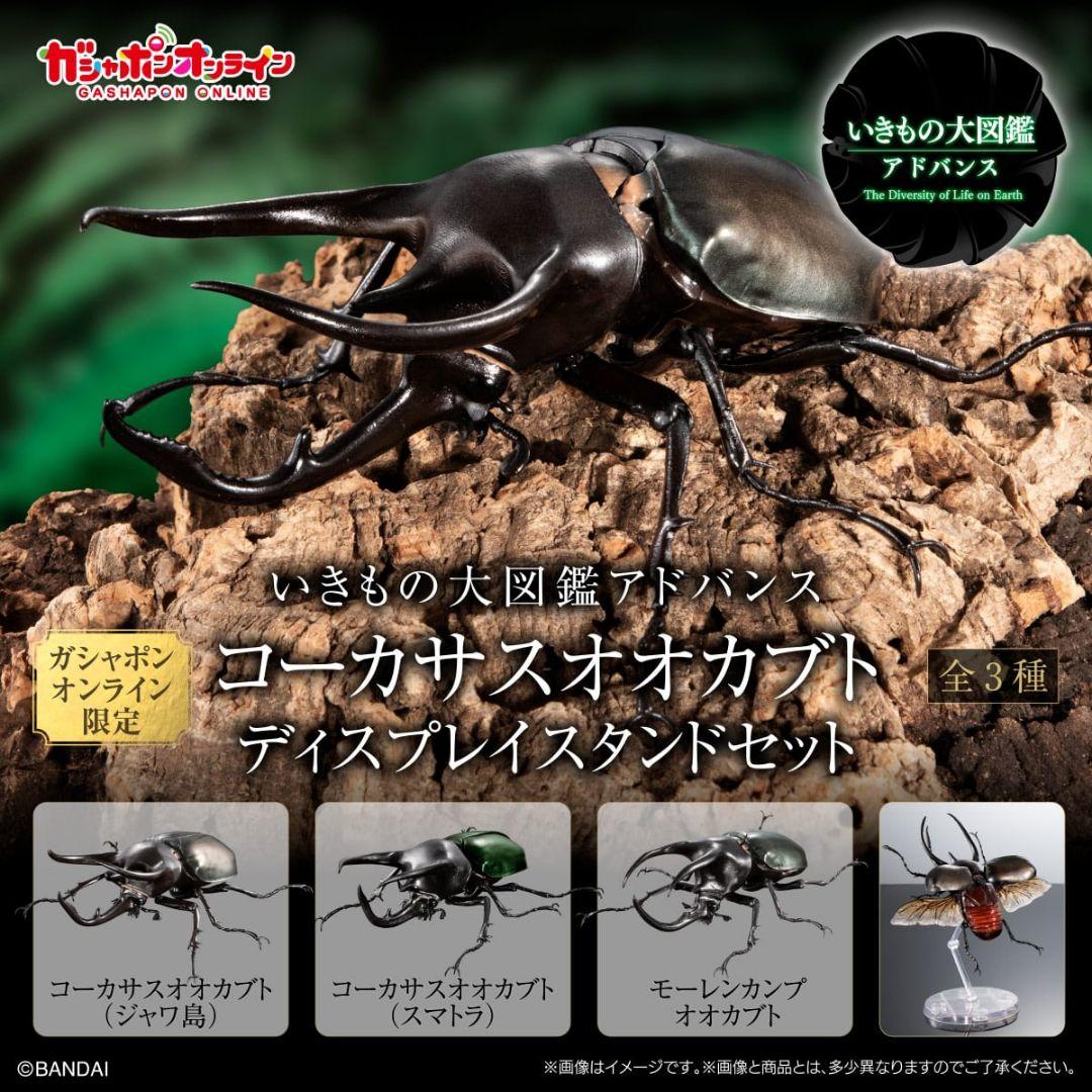 いきもの大図鑑アドバンス ヘラクレスオオカブト 甲虫王者ムシキング オンライン版