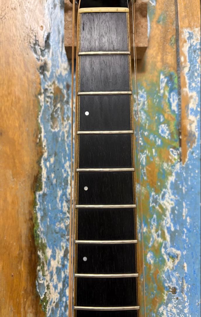 ギター History / NT-501