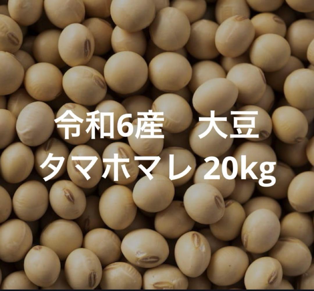 大豆　タマホマレ　令和6年産 20kg