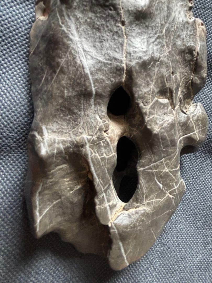 中国　天然　鑑賞　石　痩透漏　18✖︎10cm