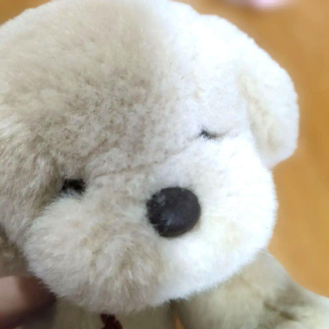 専用 ✽ うめ吉　寝そべりポーズ