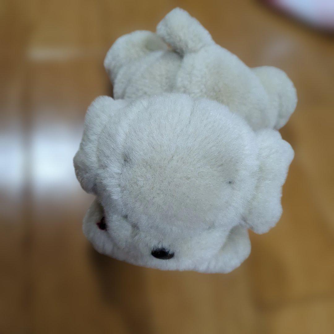 専用 ✽ うめ吉　寝そべりポーズ