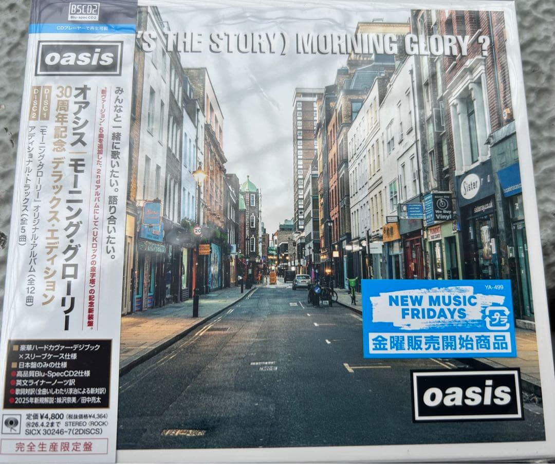 oasis シリアルナンバー入りメモリアルチケット&クリアファイル　未使用