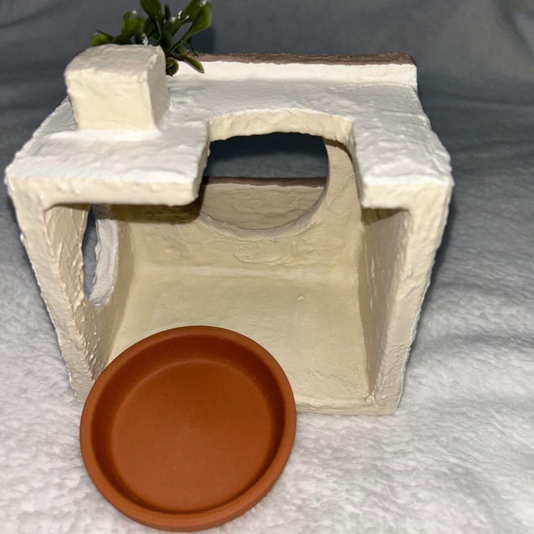 爬虫類 ウェットシェルター 29