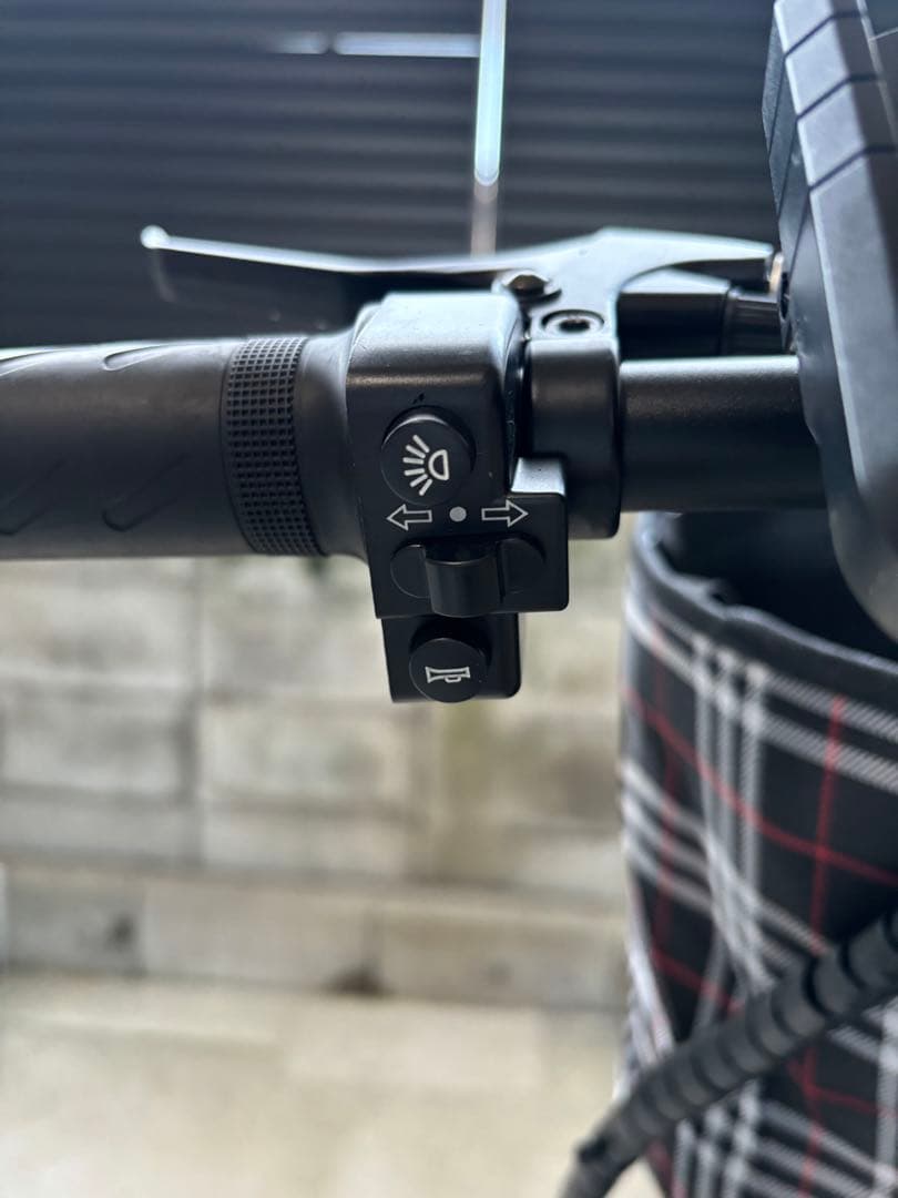 電動自転車　48V/30ah 超大容量バッテリー