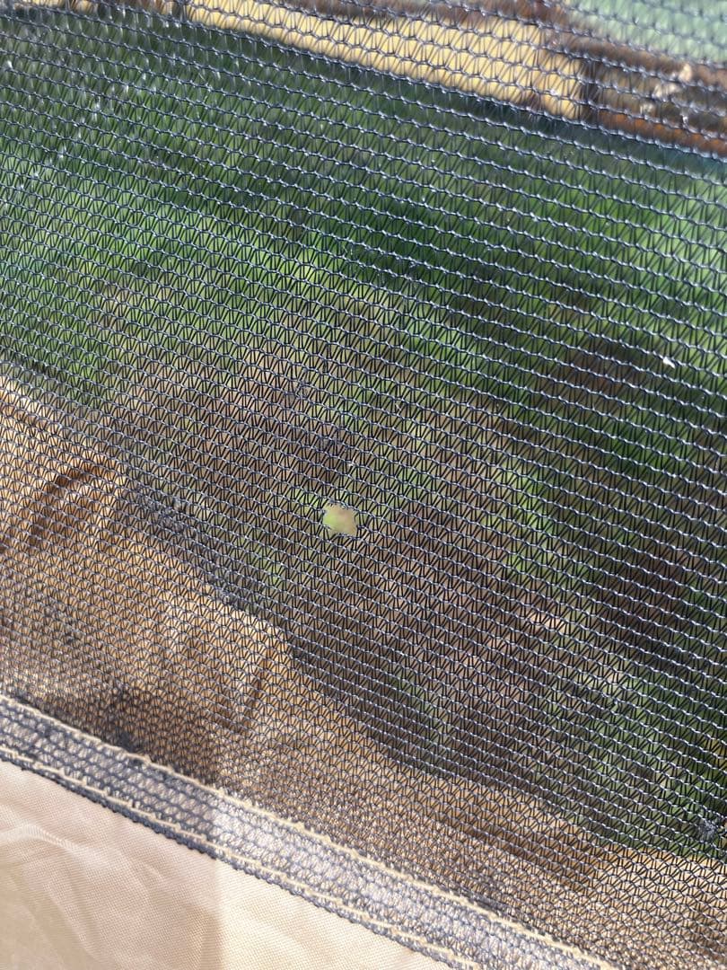 タフスクリーンタープ　400 Coleman タープ ベージュ/グリーン