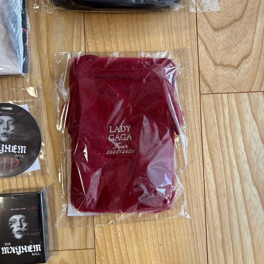 東京ドーム2026/1/29レディガガ　ライヴコンサートグッズ