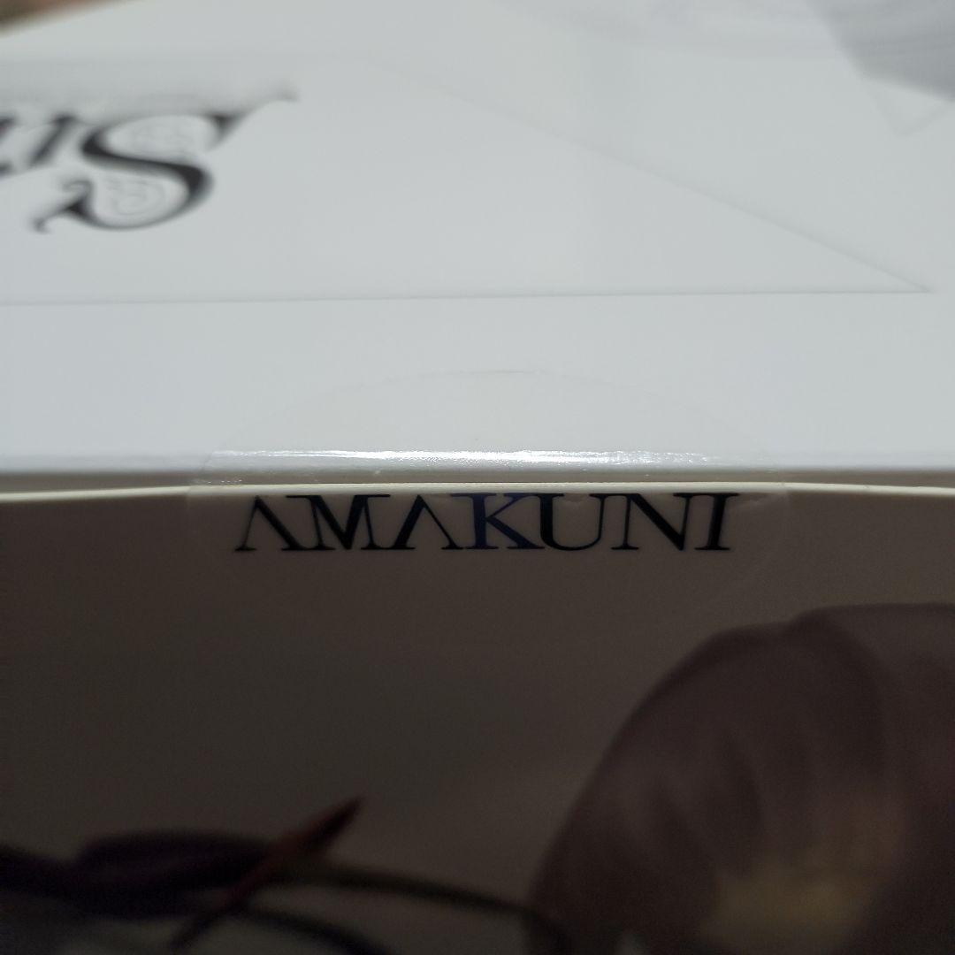 Fate/EXTELLA LINK スカサハ 魔境のサージェント フィギュア