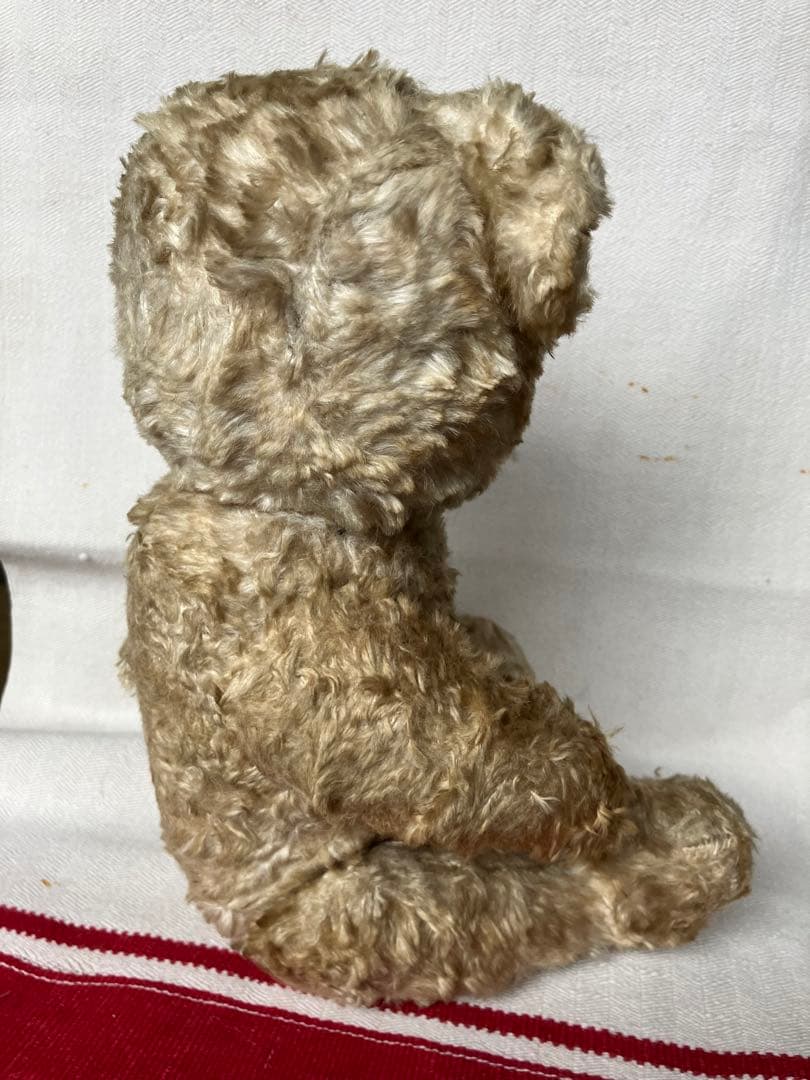 スロベニアの蚤の市に転がっていたテディベア スロヴェニア アンティーク