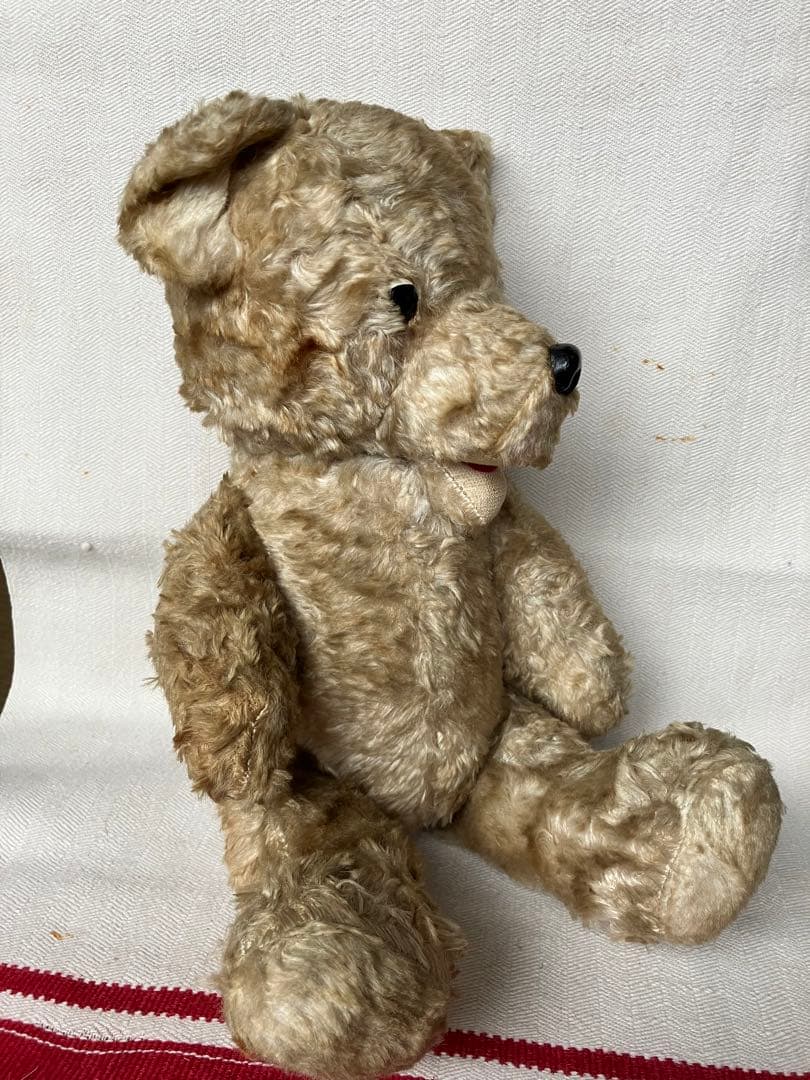 スロベニアの蚤の市に転がっていたテディベア スロヴェニア アンティーク