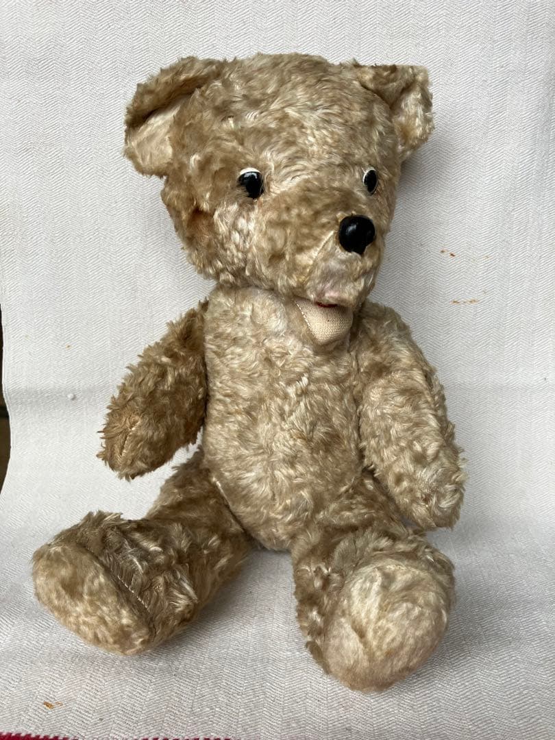 スロベニアの蚤の市に転がっていたテディベア スロヴェニア アンティーク