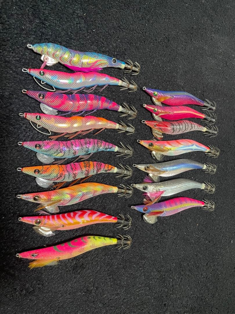 エギング　DUELなど、3〜3.５号