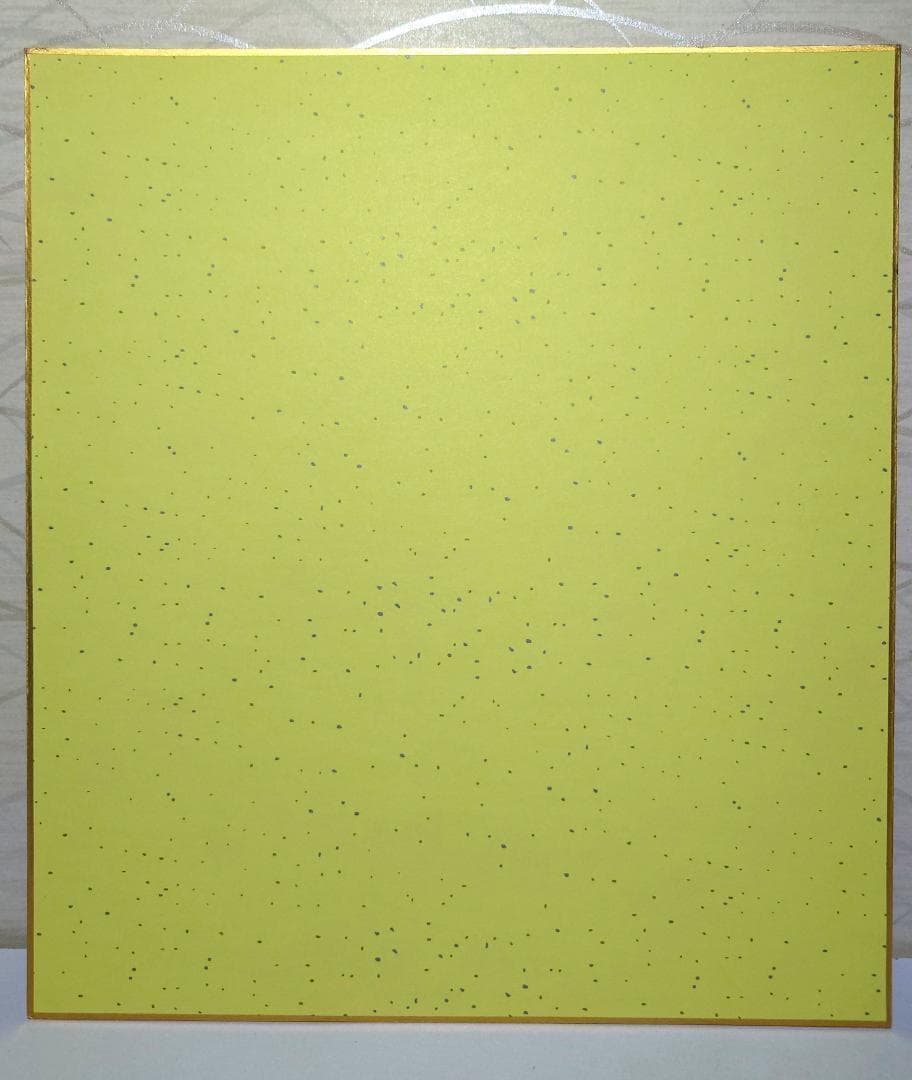 美品　色紙直筆サイン入り　ZARD　坂井泉水　額付き　写真3枚セット