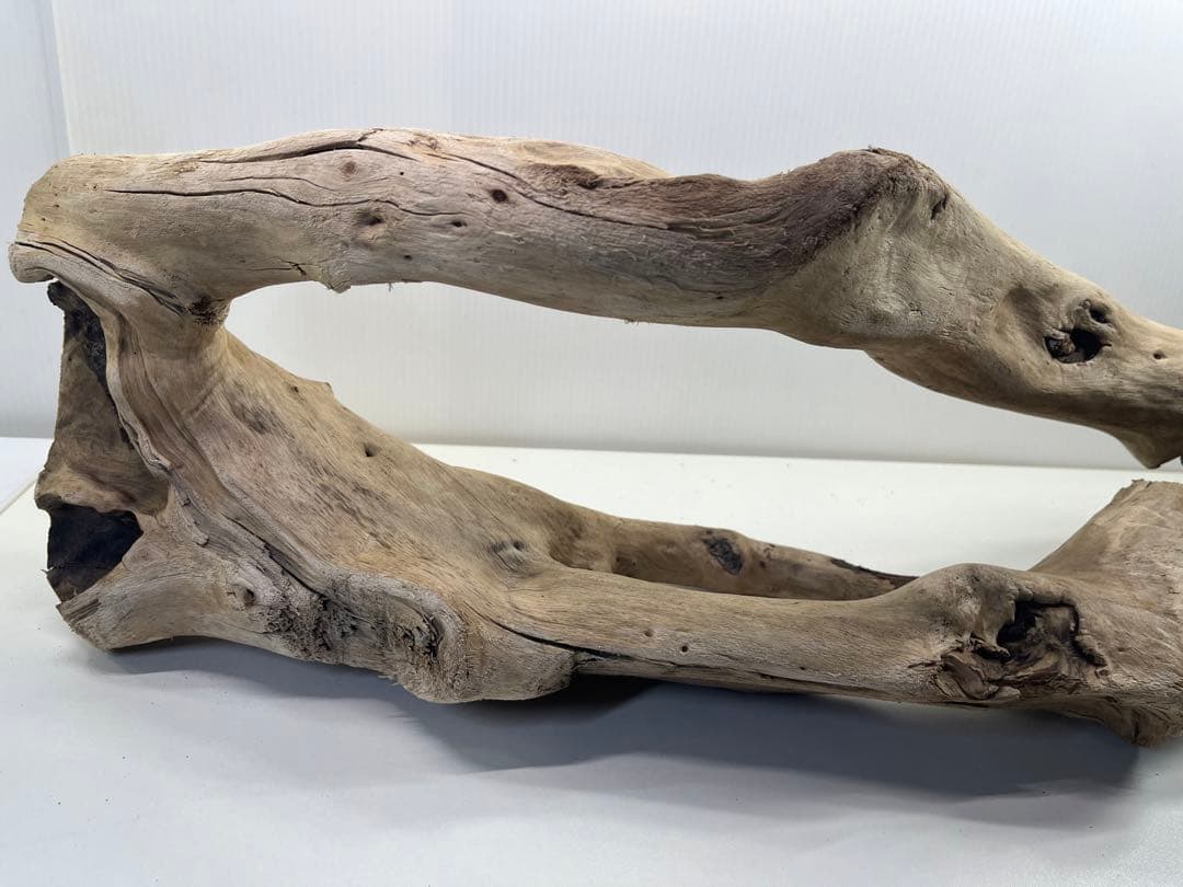 n85大型流木 アク抜き済み 爬虫類シェルター 登り木 レイアウト用 インテリア