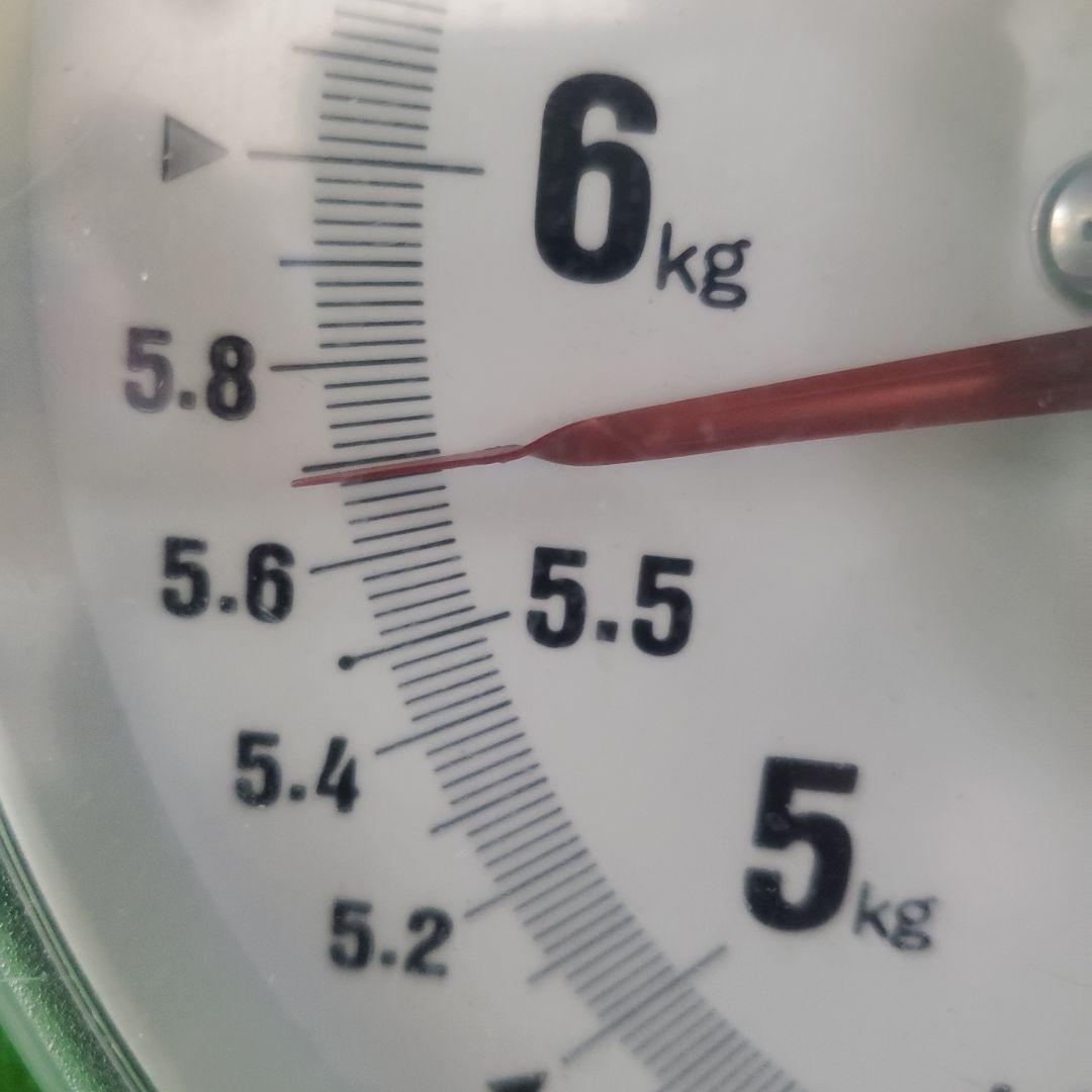 5️⃣ 山梨県産 シャインマスカット７房入り 箱込み5.6キロ