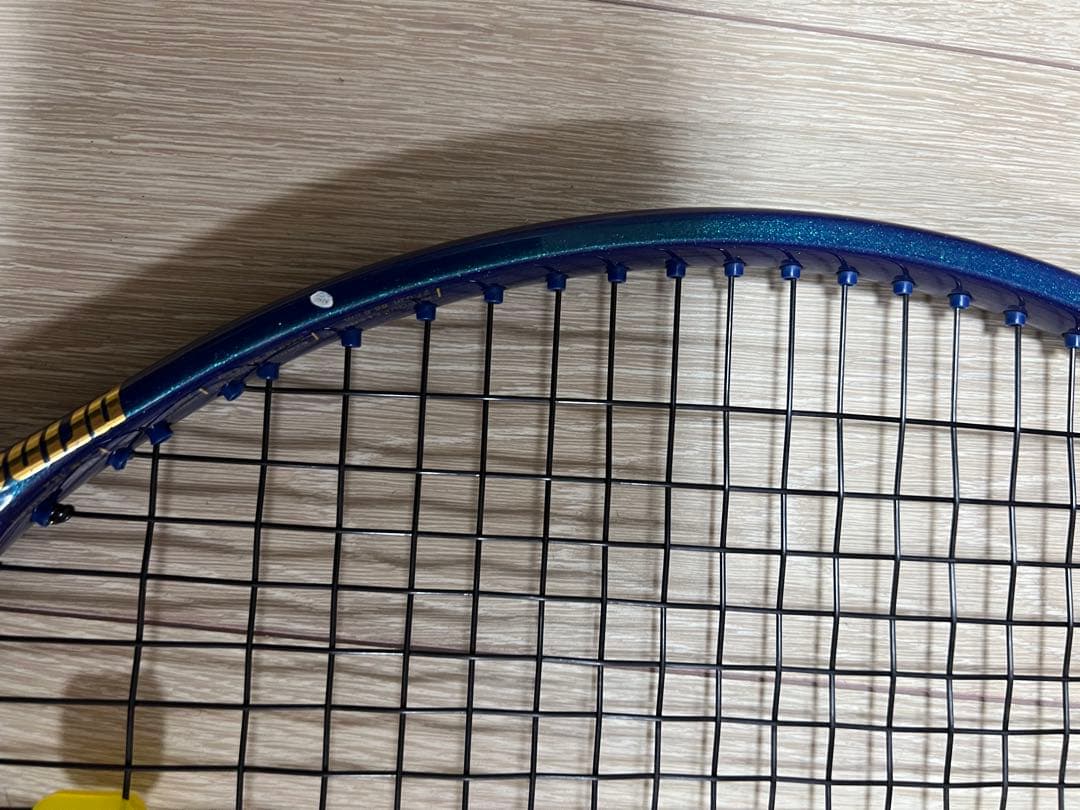 プリンス　ファントム100 (G2) ２本セット