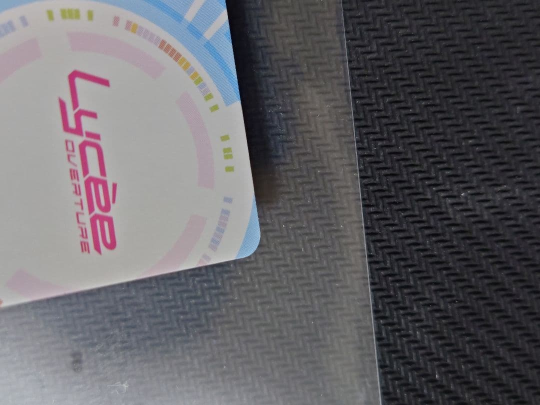 ふわふわで優しいトイプードル 御園 苺華 箔押しサイン SP リセ