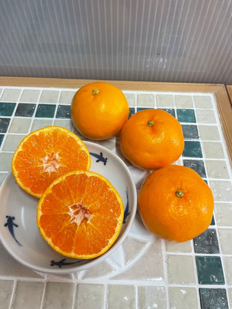 秀品はるみ　S ML 3種混合　10キロ