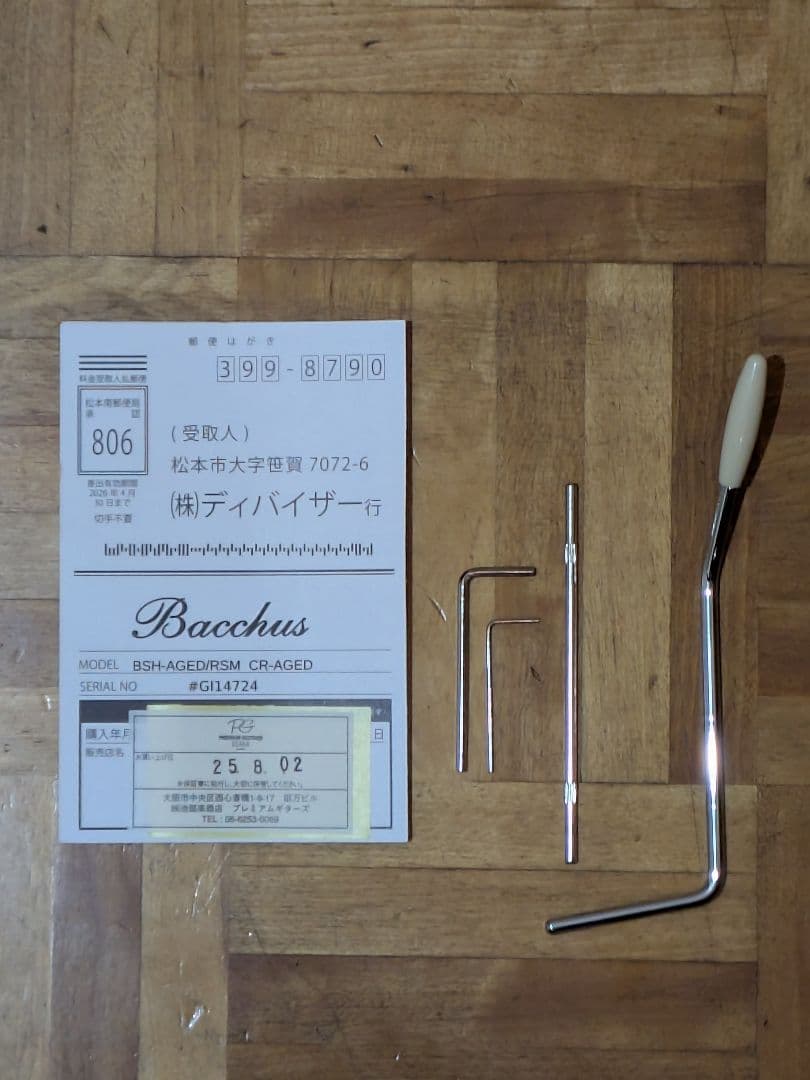 【生産終了】バッカス ストラト SSH グローバルシリーズ レリック加工