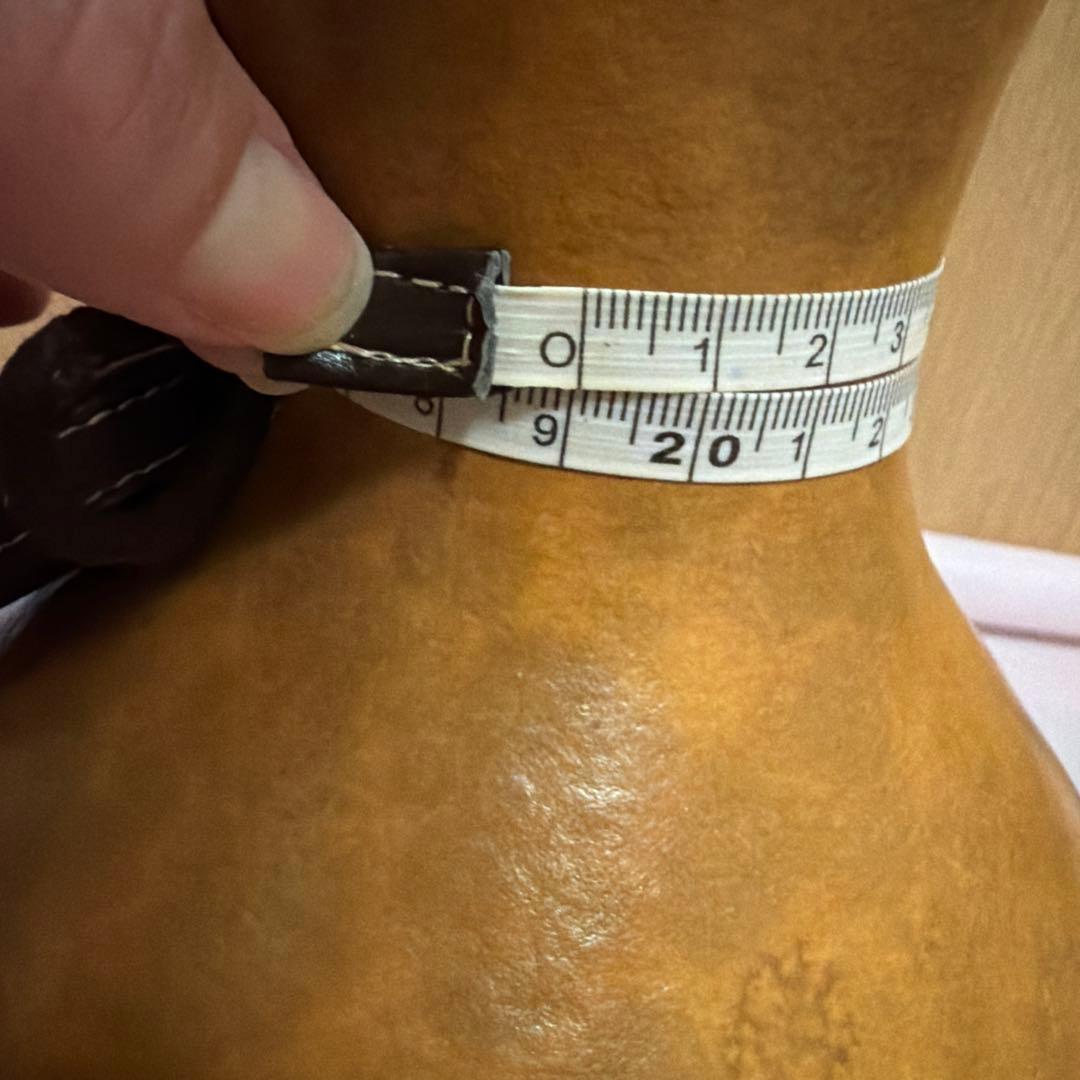 フラ イプ 楽器